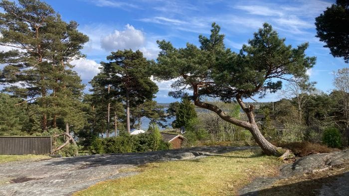 Utsikt från stenterrassen mot havet