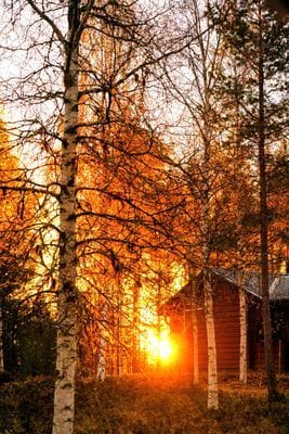 Mysig stuga i Särna, toppen för aktiviteter... - Bild 20