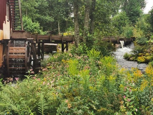 Stuga 'Lodjur' vid kanten av Glaskogen - Bild 17
