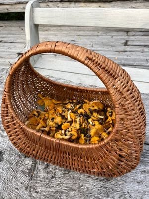 Ett torp i Sörmland med karaktär - Bild 25