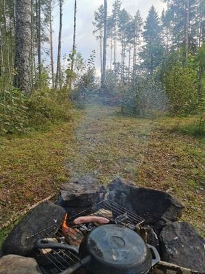 Stuga 'Lodjur' vid kanten av Glaskogen - Bild 9