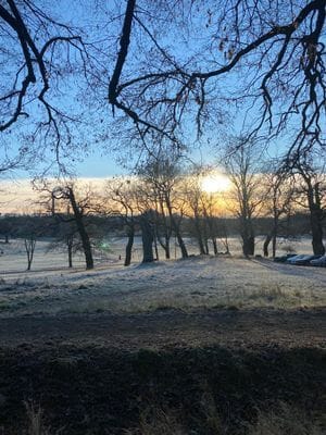 Nyinrett gårdshus i Hamra - nära hav och natur - Bild 20