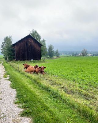 Nyrenoverad stuga i orsa Hansjö - Bild 15