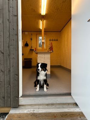 Mysig stuga Mittåkläppen i Bruksvallarna - Bild 9