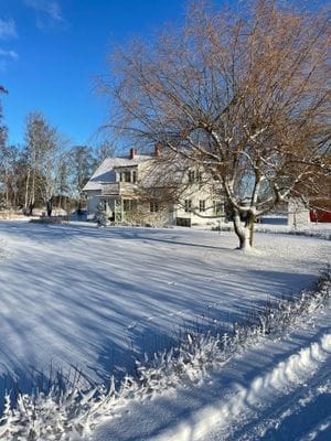 Nyinrett gårdshus i Hamra - nära hav och natur - Bild 22