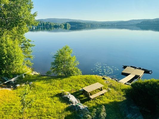 Trädgården med bryggan