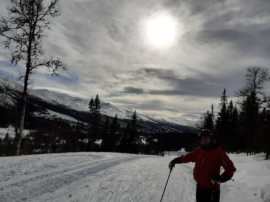 Mysig fjällstuga Skiin/Skiout - Bild 6