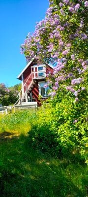 Sjötomt Vindö - Bild 22