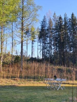 Stuga 'Lodjur' vid kanten av Glaskogen - Bild 10