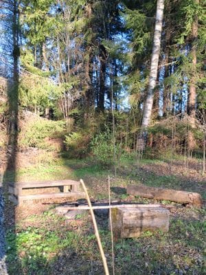 Stuga 'Lodjur' vid kanten av Glaskogen - Bild 11