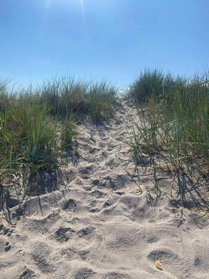 Fin välplanerad stuga med lantligt läge - Bild 12