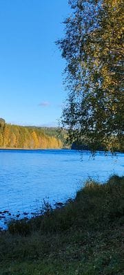 Mysig stuga på Brattmon nära Klarälven - Bild 4
