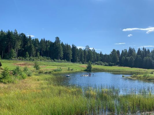 Bäverstugan - Bild 9