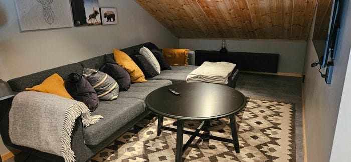 Vardagsrum Loft