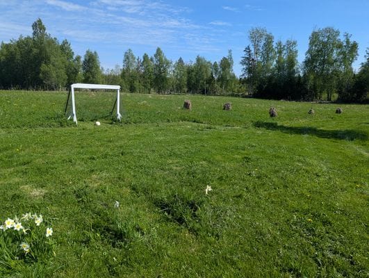 Timrad stuga nära fjällen - Bild 28
