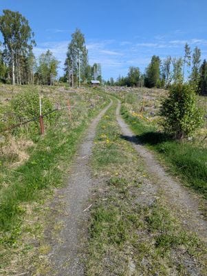 Timrad stuga nära fjällen - Bild 34