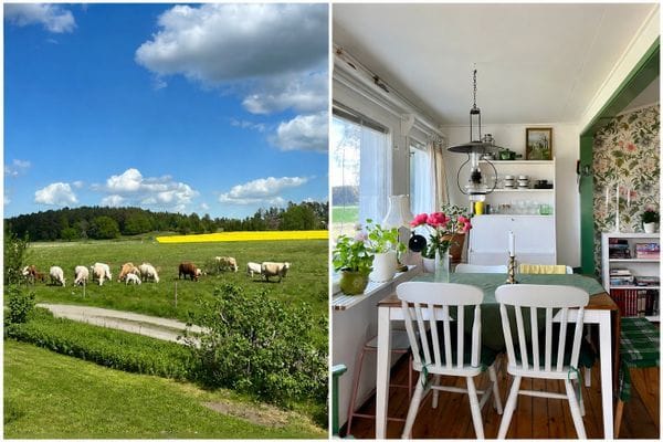 Matplats med utsikt
