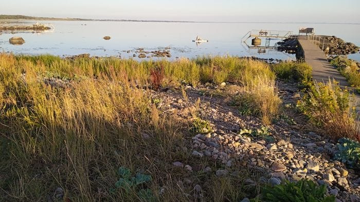 200m från havet i nyrenoverat gästhus. - Bild 16