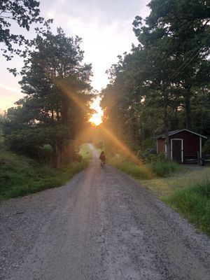 Mysigt sommarställe med bastu - Bild 14