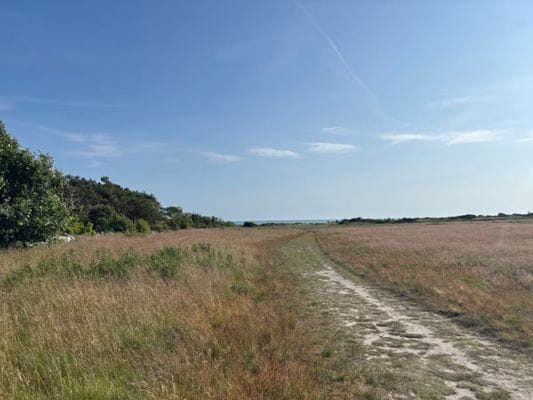 Bo i Läjet strandnära - Bild 3
