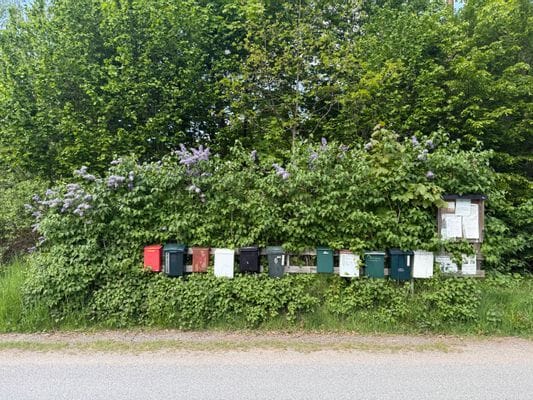 Sommarhus på Österlen - Bild 2