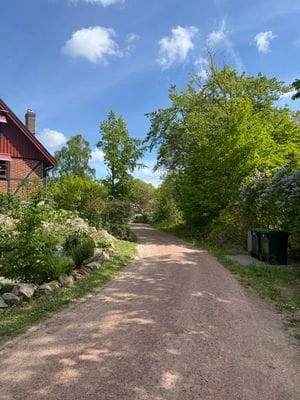 Sommarhus på Österlen - Bild 5