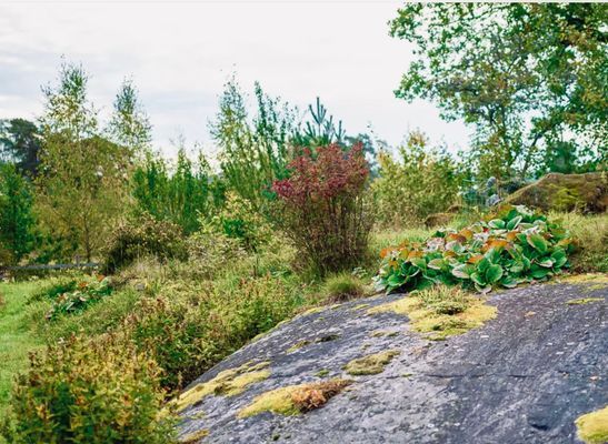 Villa med egen brygga vid Båven - Bild 14