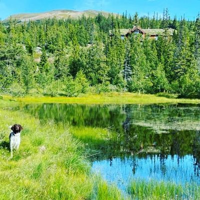 Härlig timmerstuga med ski in/ski out - Bild 20