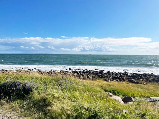 Strandnära boende med nära Tylösan|SE02037 - Bild 17