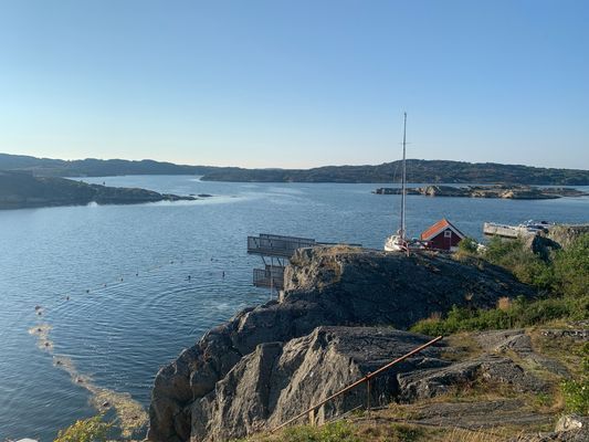 Stocken med hopptorn