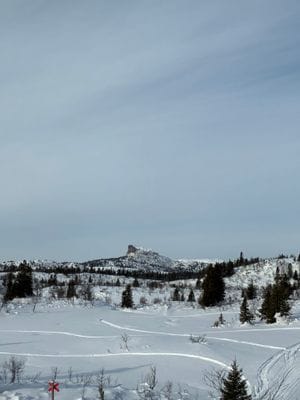 Trevlig fjällstuga nära Åre - Bild 30