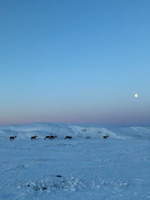 Trevlig fjällstuga nära Åre - Bild 29