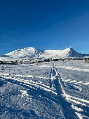 Trevlig fjällstuga nära Åre - Bild 32