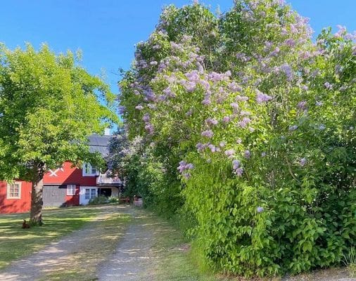 Skärgårdsidyll Gräddö