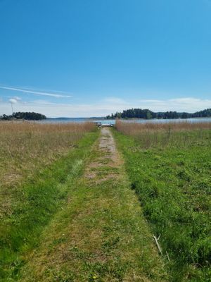 Lantlig lyx med havsutsikt - Bild 26