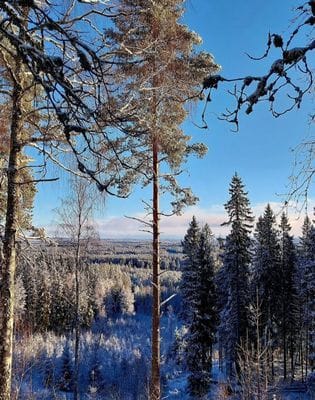 Mysigt fritidshus Lilla Björk in Seenähe - Bild 6