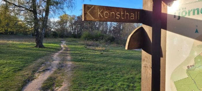Baskemölla vid skog och fin badplats. - Bild 10
