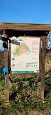 Baskemölla vid skog och fin badplats. - Bild 11