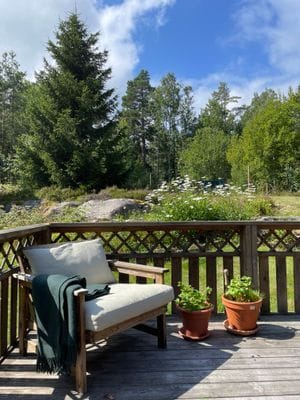 Utsikt från uteplats på baksidan