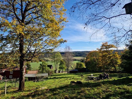 Lantlig stuga med utsikt - Bild 4