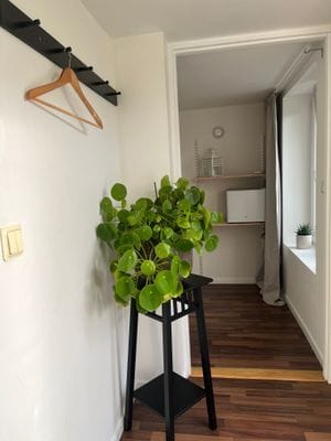 Friliggande gästhus i natursköna Vallåkra - Bild 9