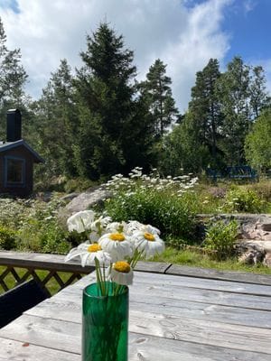 Utsikt från uteplats på baksidan
