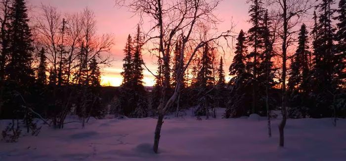 Modern fjällstuga - Bild 24