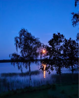 Stuga med fiske och bad vid sjö - Bild 12