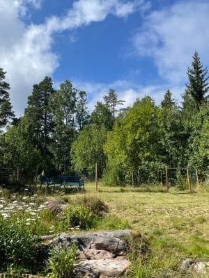 Utsikt mot trädgård på baksidan