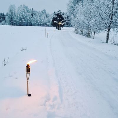Lantligt hus nära Skellefteå – natur, lugn - Bild 11