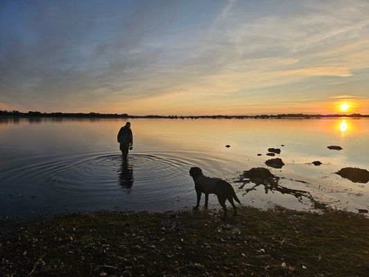 Unikt boende, invid Hornborgasjöns Naturreservat - Bild 18