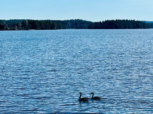 Villa Neränga Hus vid sjön Lakeview Bysjön Årjäng - Bild 9