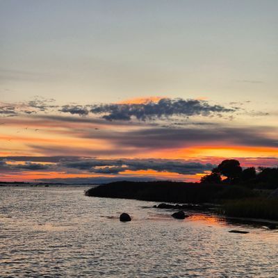 Stuga Trummenäs Udde 12000,-/v - Bild 9