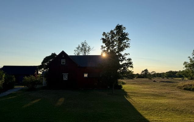Välkommen till fasanhuset! - Bild 12